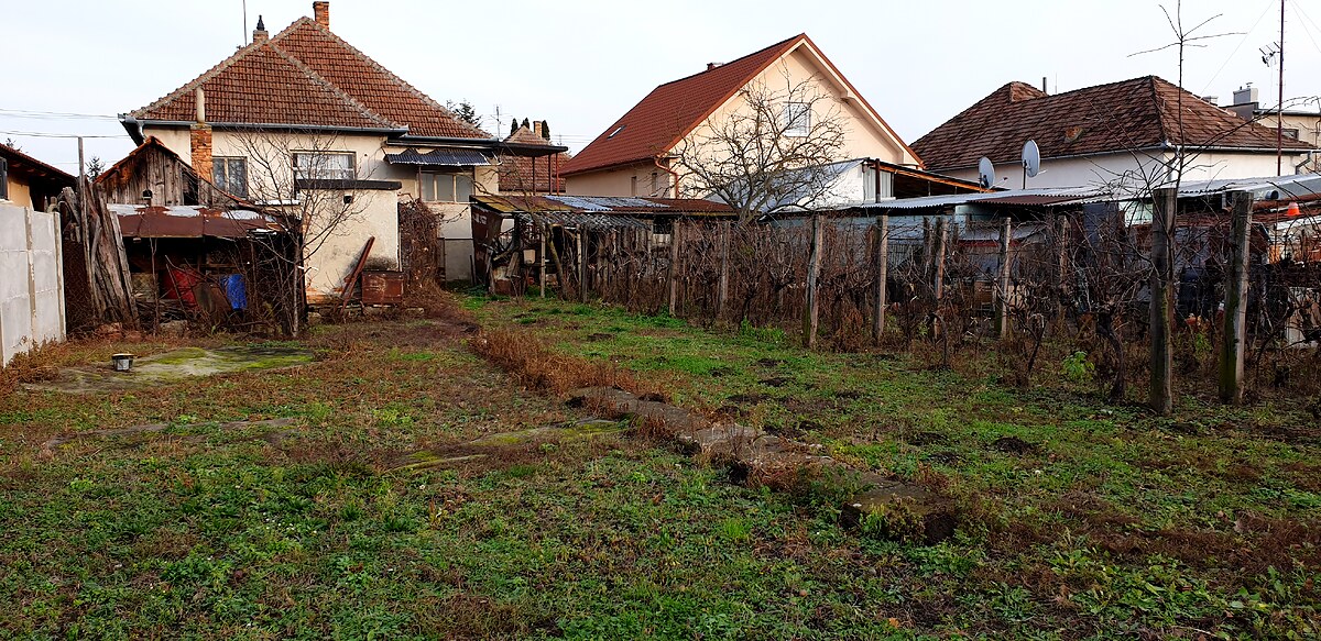 Import test: Prenájom garsónky v Trnave