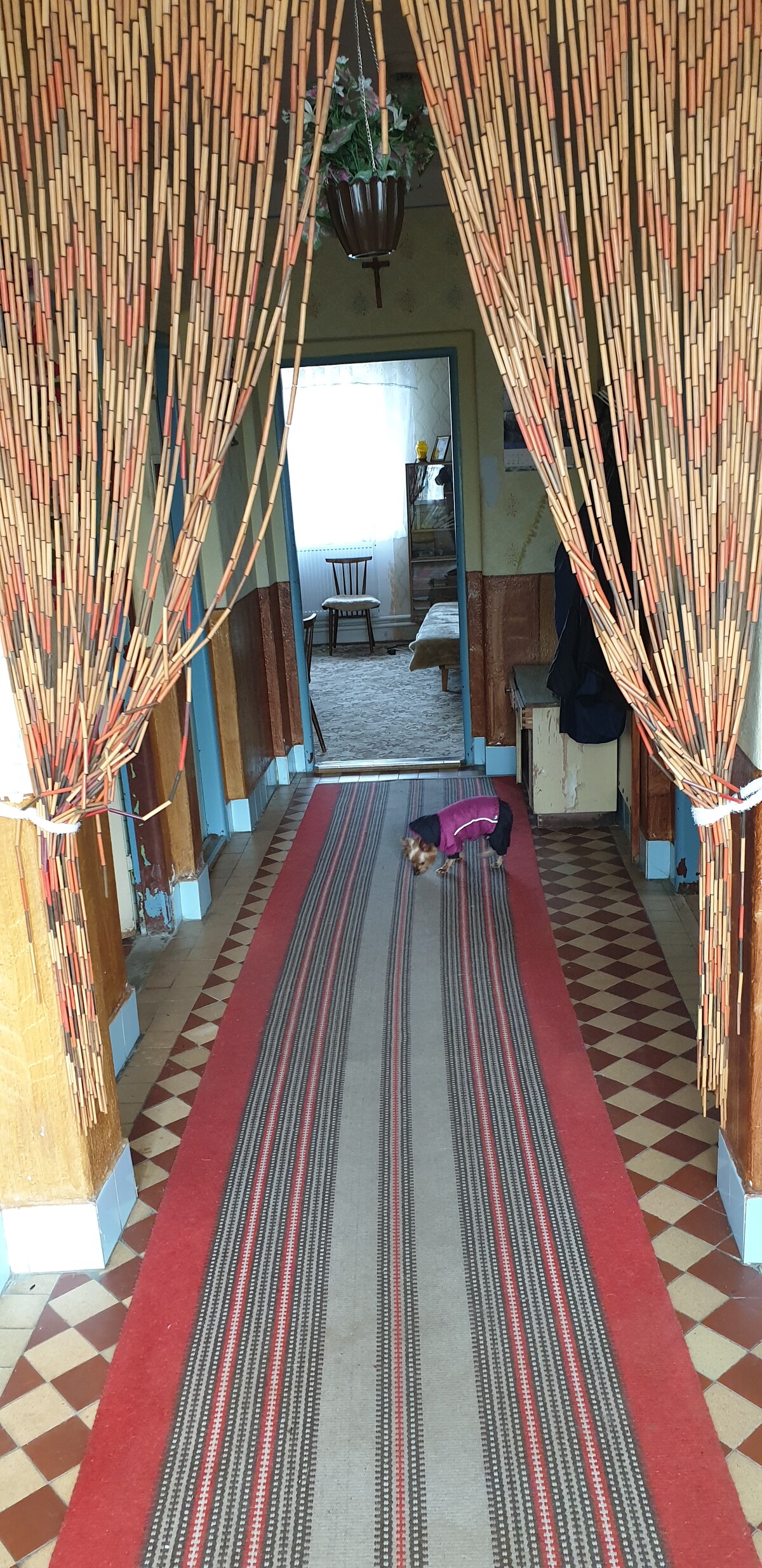 Import test: Prenájom garsónky v Trnave