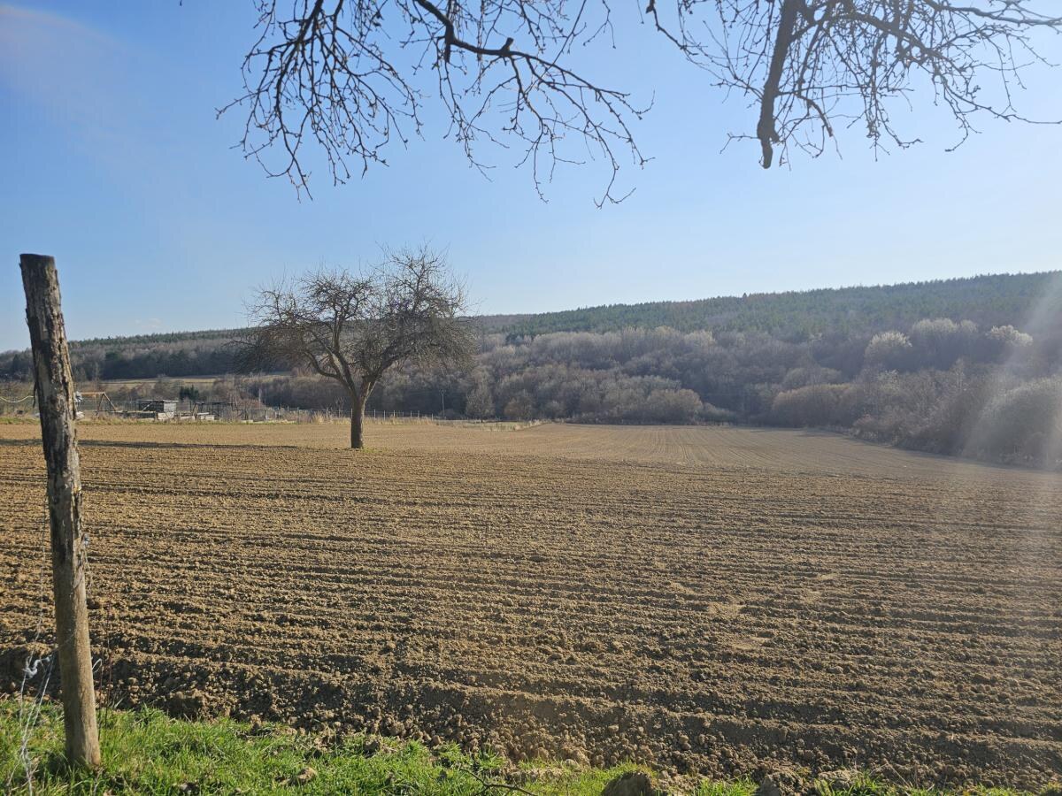 Jedinečný stavebný pozemok - 9899m2 pod Považským Inovcom — foto 2