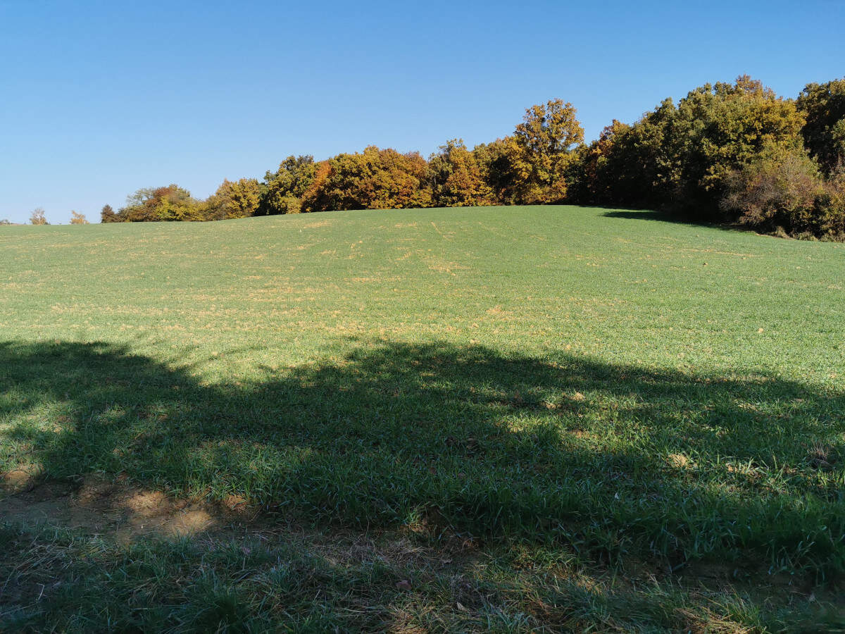 Pozemok v pokojnom prostredí 1401m2 - Veľké Hoste na predaj — foto 3
