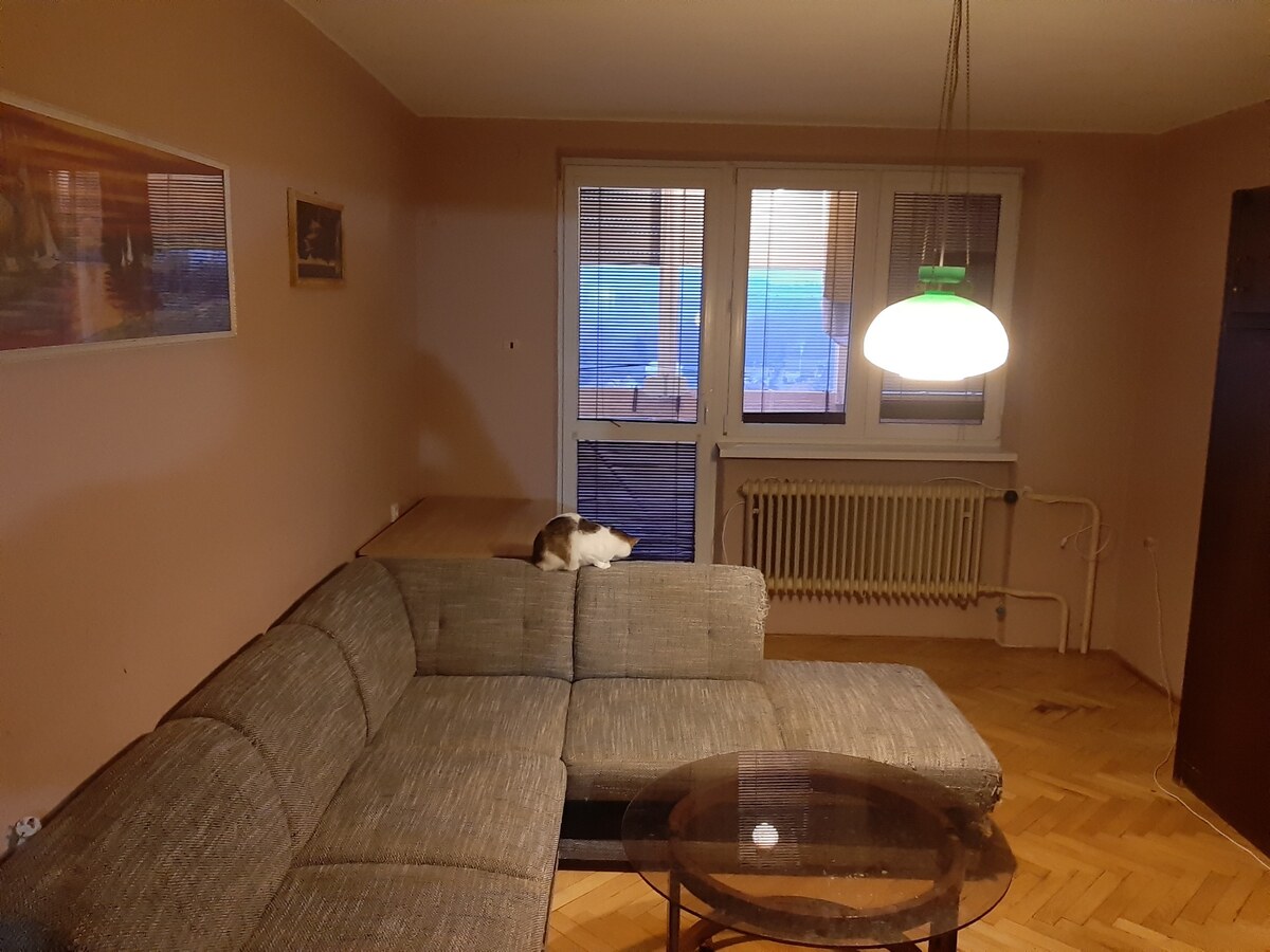 Exkluzívne pripravujeme na predaj 3+1 byt vo Veľkom Krtíši so záhradou — foto 4
