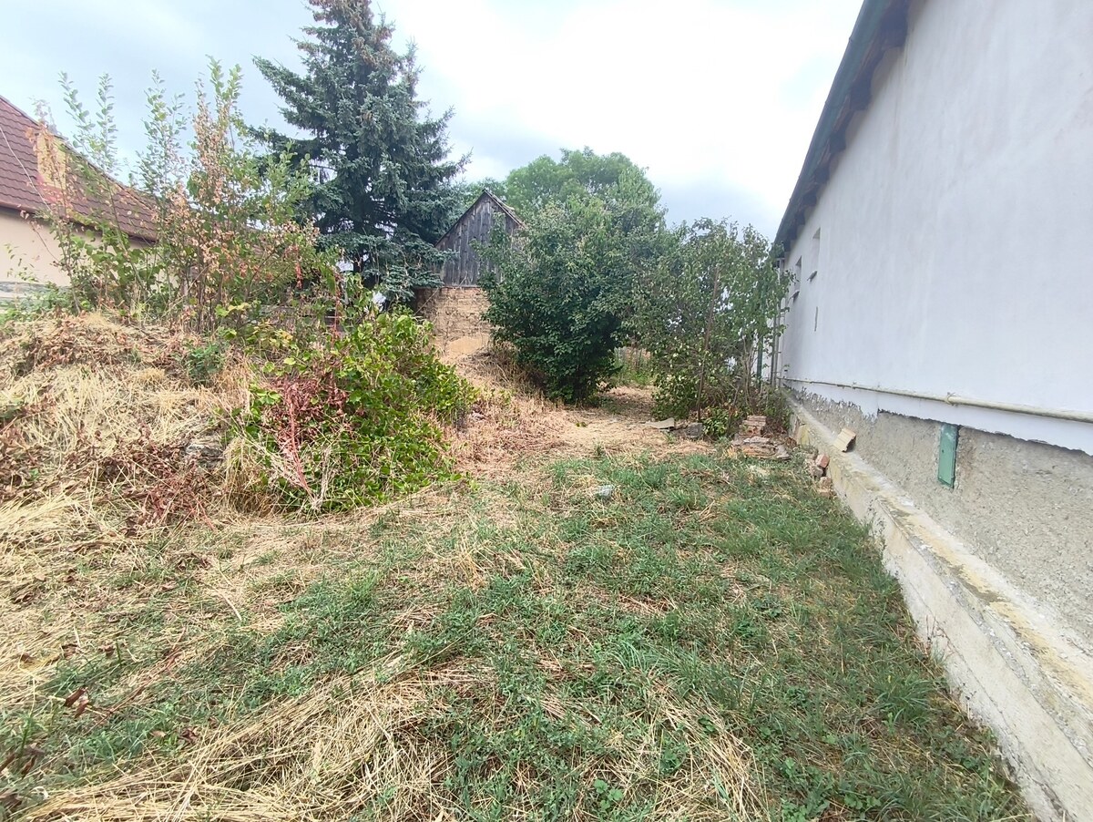 PREDAJ – POZEMOK 1 907 m² SO STARÝM DOMOM, MIKUŠOVCE, OKRES LUČENEC — foto 4