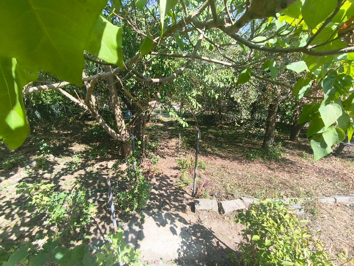 Oáza pokoja a vlastná úroda: Murovaná chatka (17 m²) so záhradou 690 m — foto 4
