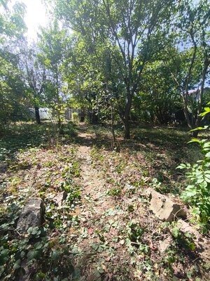 Oáza pokoja a vlastná úroda: Murovaná chatka (17 m²) so záhradou 690 m — foto 3