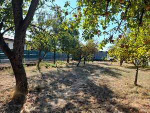 Ponúkame na predaj stavebný pozemok 650 m2, obec Ďurkov — foto 5