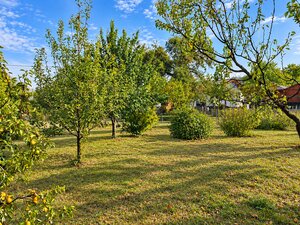 Predaj stavebný pozemok ČIžatice — foto 5