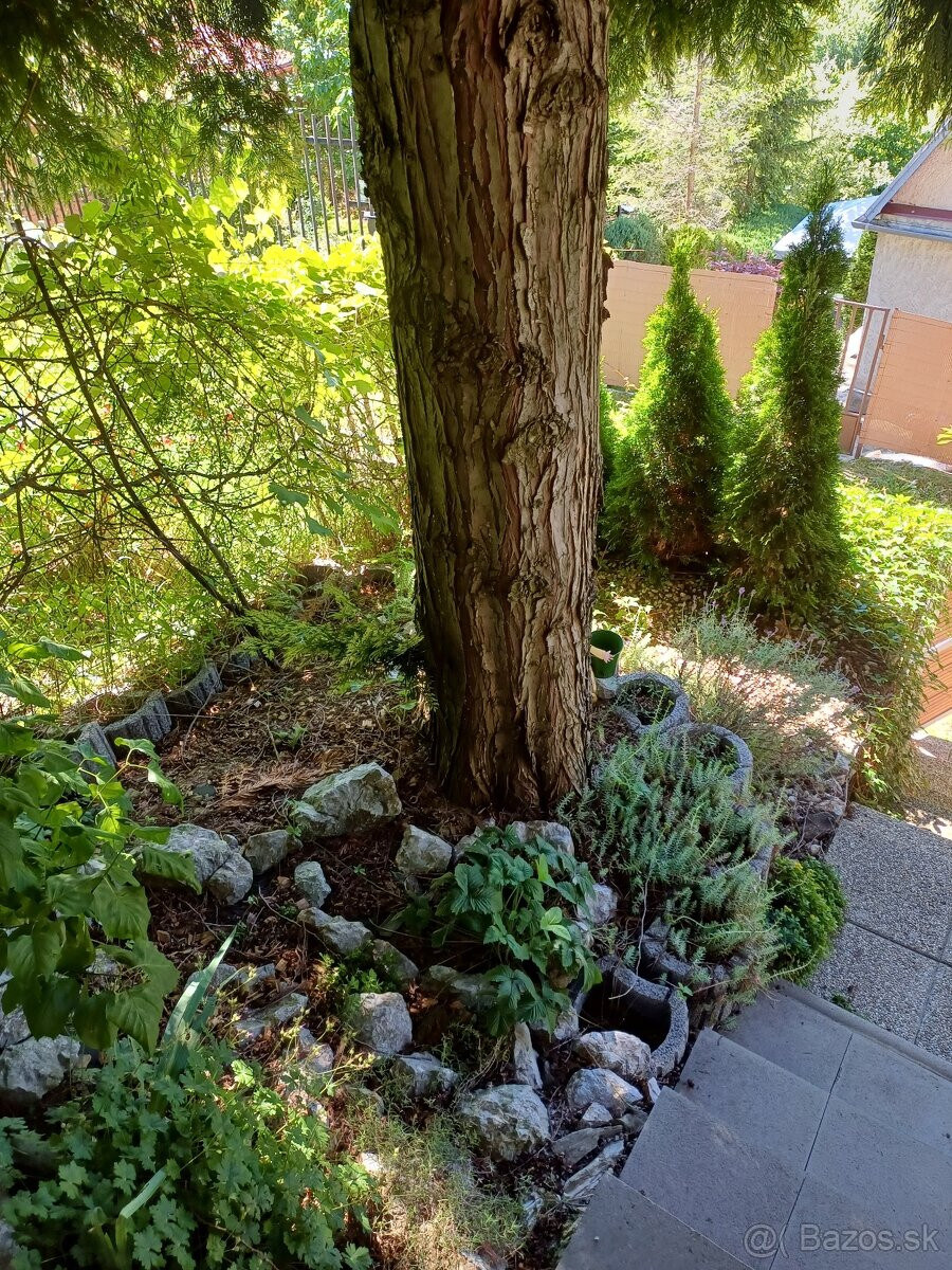 Predaj 2 podlažnej chaty v Medzeve. — foto 10