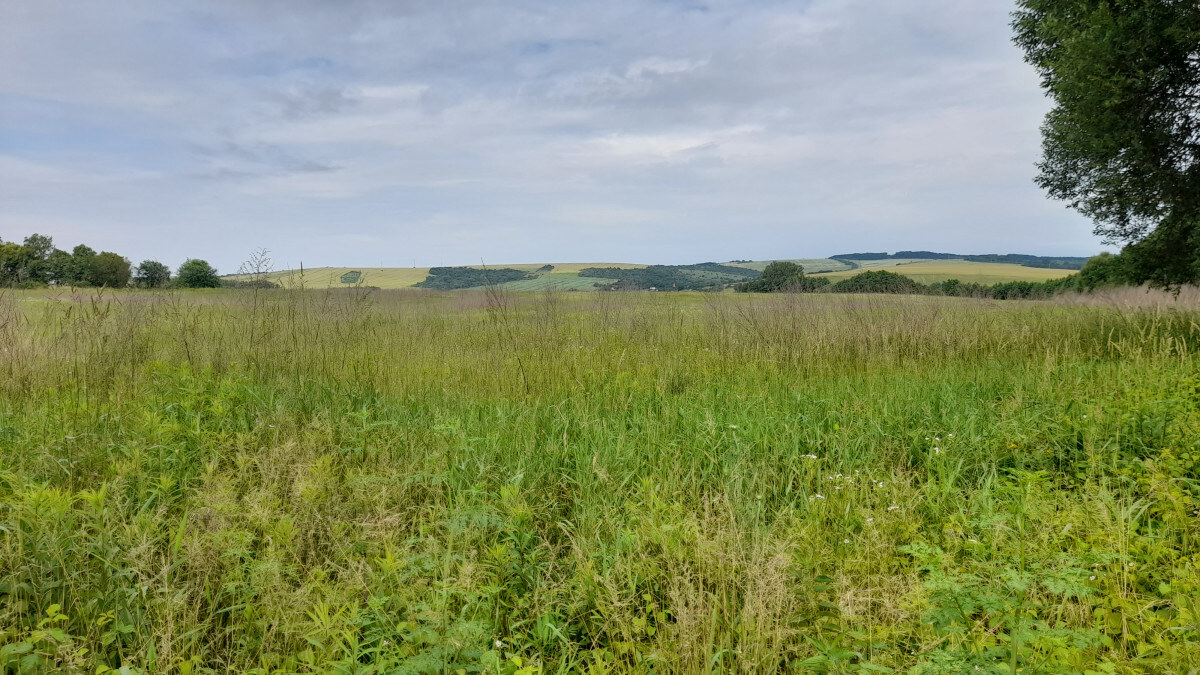 Investičný pozemok 4483 m2 na výstavbu RD v obci Ruskov. — foto 5