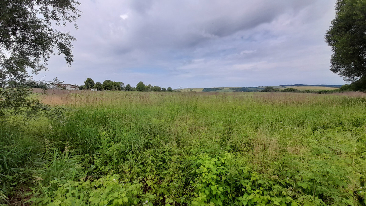 Investičný pozemok 4483 m2 na výstavbu RD v obci Ruskov. — foto 6