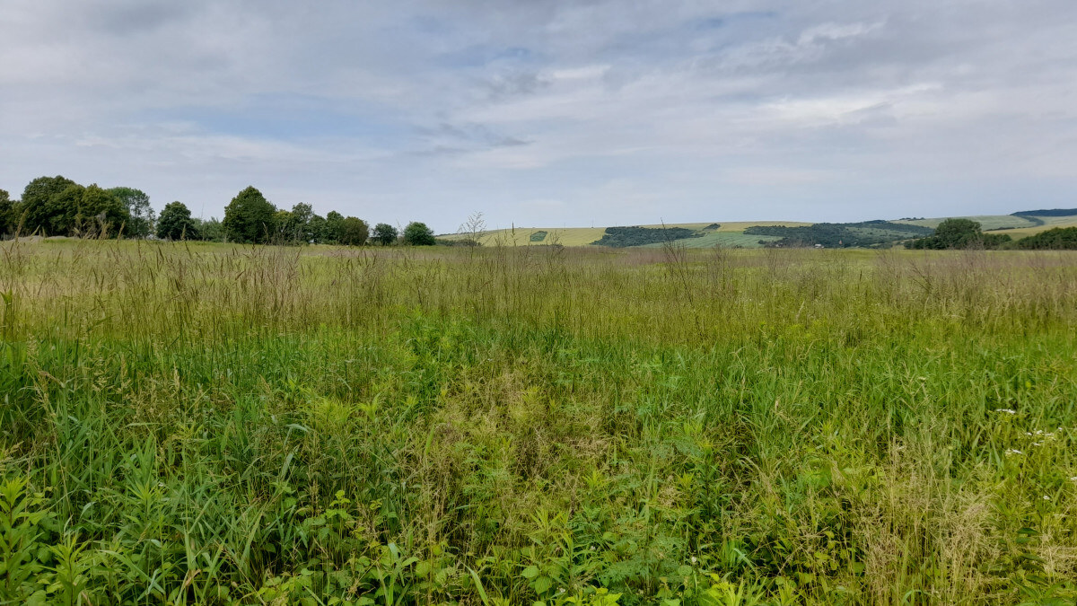 Investičný pozemok 4483 m2 na výstavbu RD v obci Ruskov. — foto 7