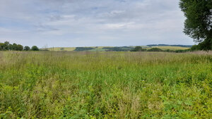 Investičný pozemok 4483 m2 na výstavbu RD v obci Ruskov. — foto 5