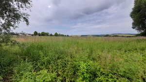 Investičný pozemok 4483 m2 na výstavbu RD v obci Ruskov. — foto 6