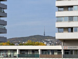 GAUDIO reality | zariadený, dve izby s lodžiou na Muchovom námestí | Garážové parkovanie — foto 19