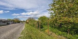 Záhrada - Vlastný kúsok pokoja len pár minút od Bratislavy? — foto 5