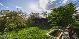 Záhrada - Vlastný kúsok pokoja len pár minút od Bratislavy? — foto 6