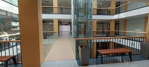 Reprezentatívny priestor, na prenájom, 174,5 m² / 87,17 m² a 87,33 m — foto 5