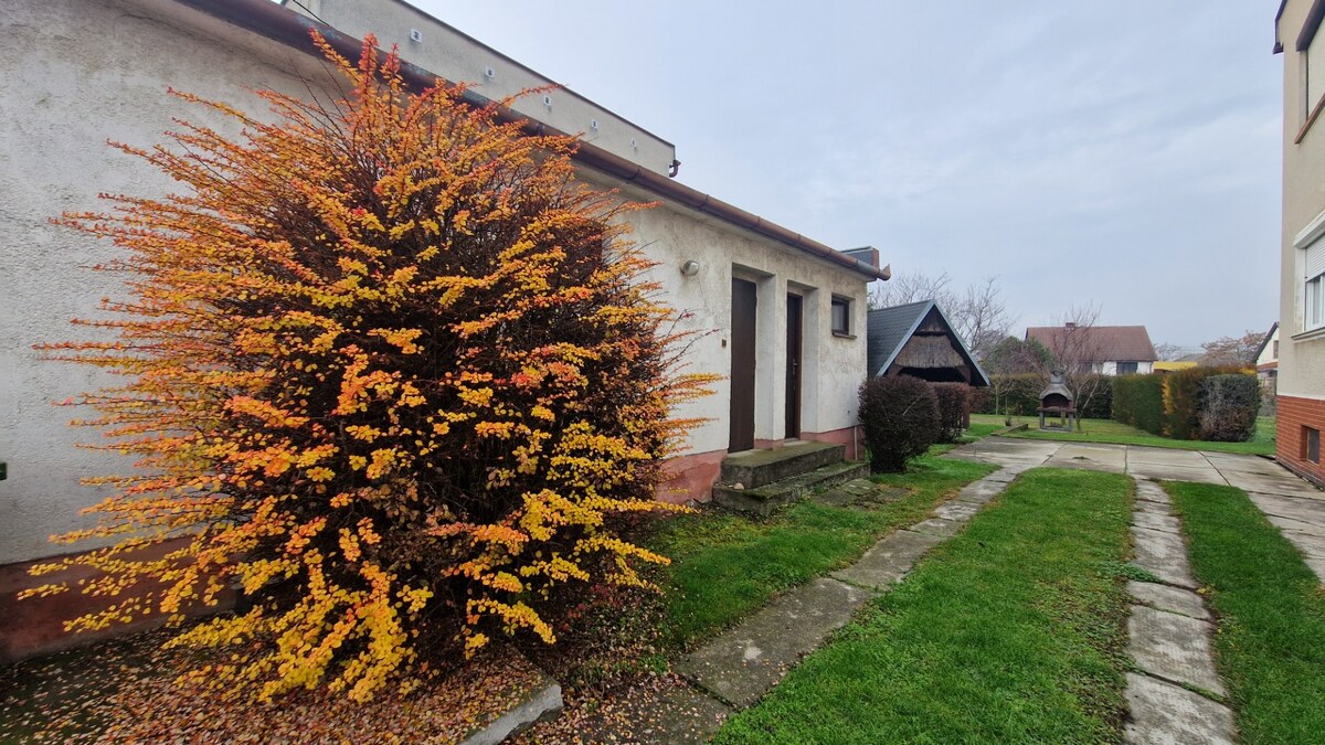 Bývanie na vidieku, dom s netradičnou kvalitou, Trstice — foto 15