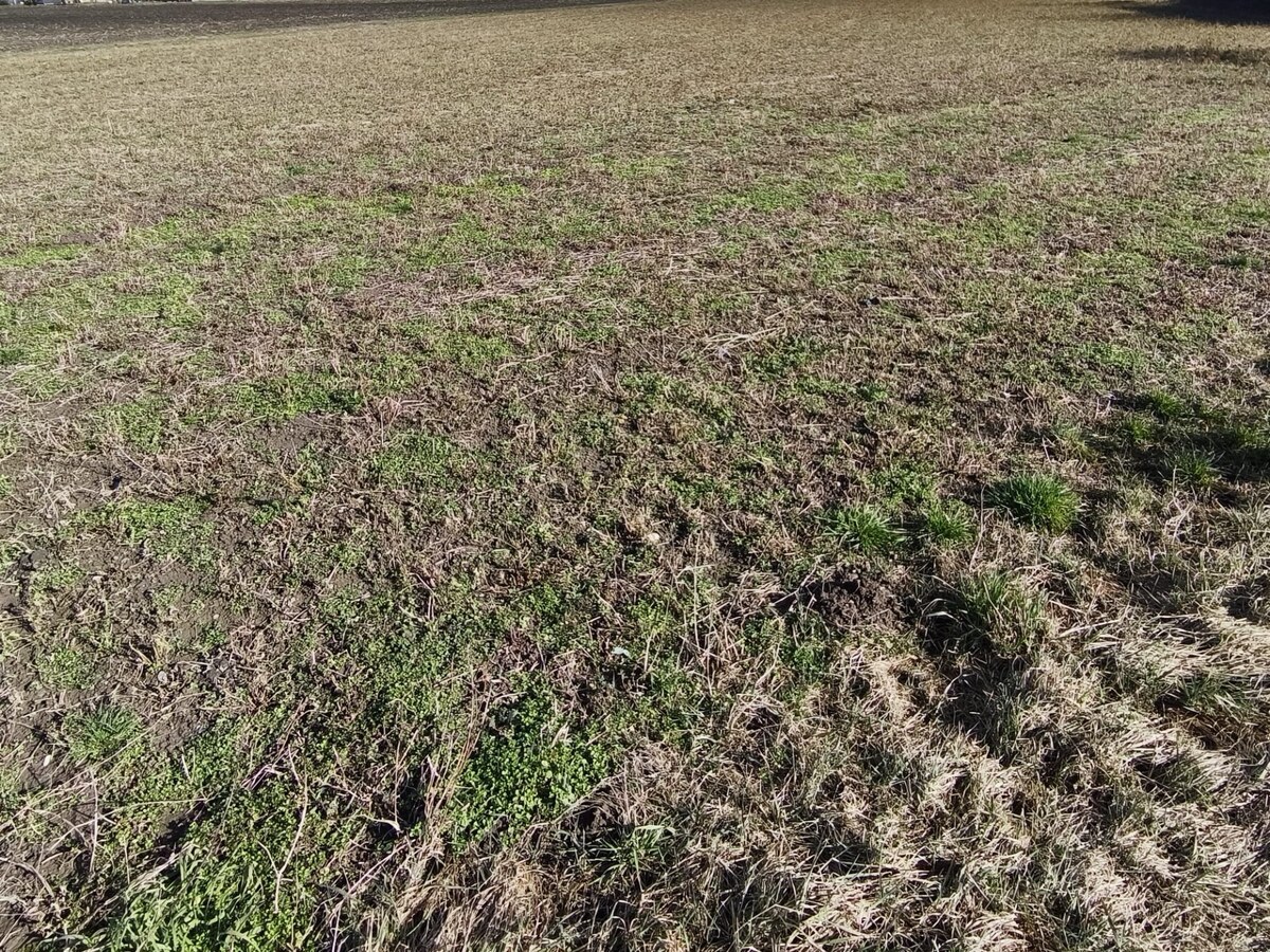 Investičná príležitosť, pozemok  na predaj, 3 399 m², Čierny Brod — foto 3