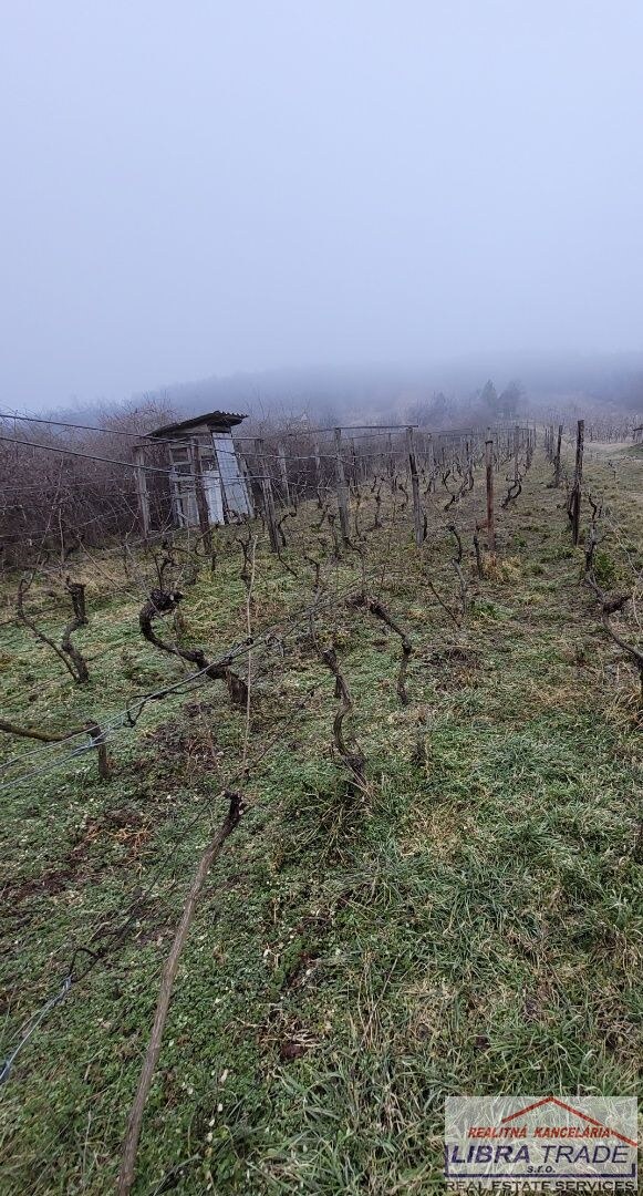 Predáme chatku s elektrinou, pekným pozemkom a viničom. — foto 7
