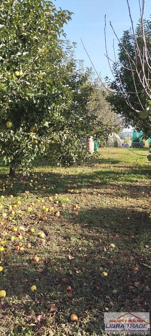 Menší rodinný dom na predaj s veľkým pozemkom v Nových Zámkoch. — foto 7
