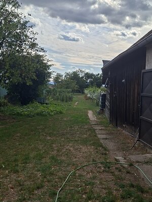 Predáme starší  RD s veľkým pozemkom v obci Viničné — foto 7