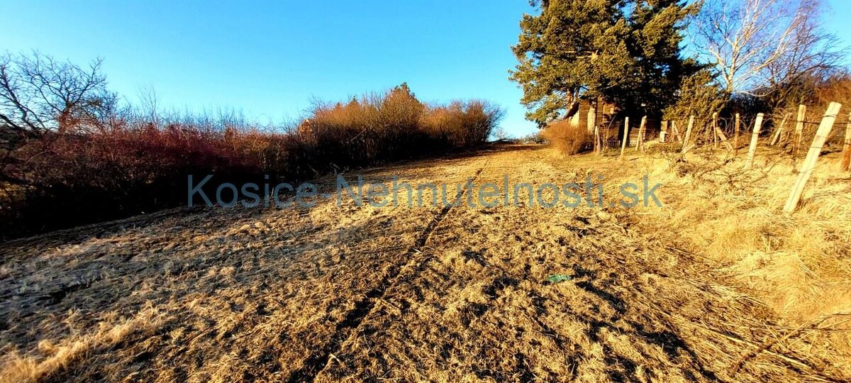 Pozemok 1000 m2 v chatárskej oblasti Sečovce smer Dargov — foto 4