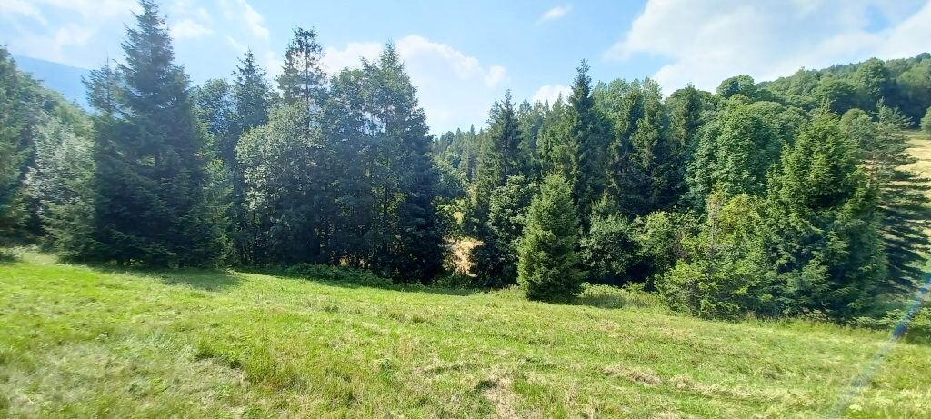 Pozemky na predaj v obci Ždiar spolu 20.500 m2 rôzne polohy, rôzne ceny — foto 9
