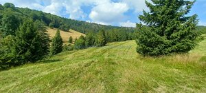 Pozemky na predaj v obci Ždiar spolu 20.500 m2 rôzne polohy, rôzne ceny — foto 1