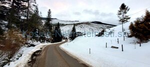 Predaj pozemok Ždiar 1633 m2 parcela C intravilán, asfaltová prístupová cesta — foto 8
