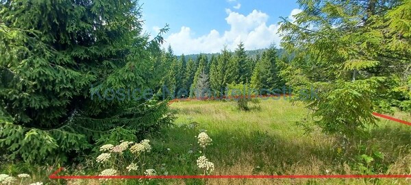 Pozemok na predaj 292 m2 Ždiar v mladom lese