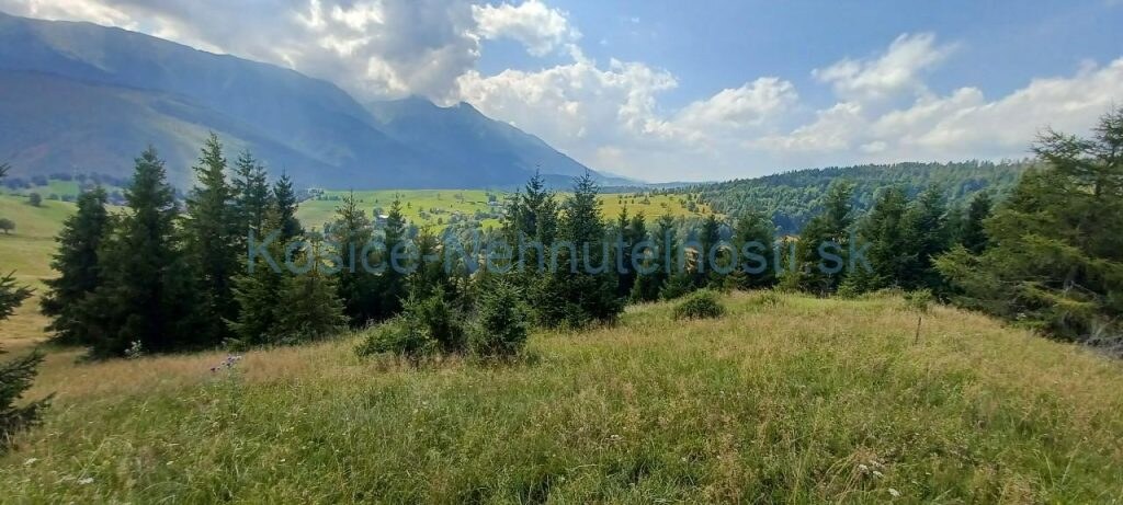 Pozemky 8445 m2 v Belianskych Tatrách Ždiar — foto 3