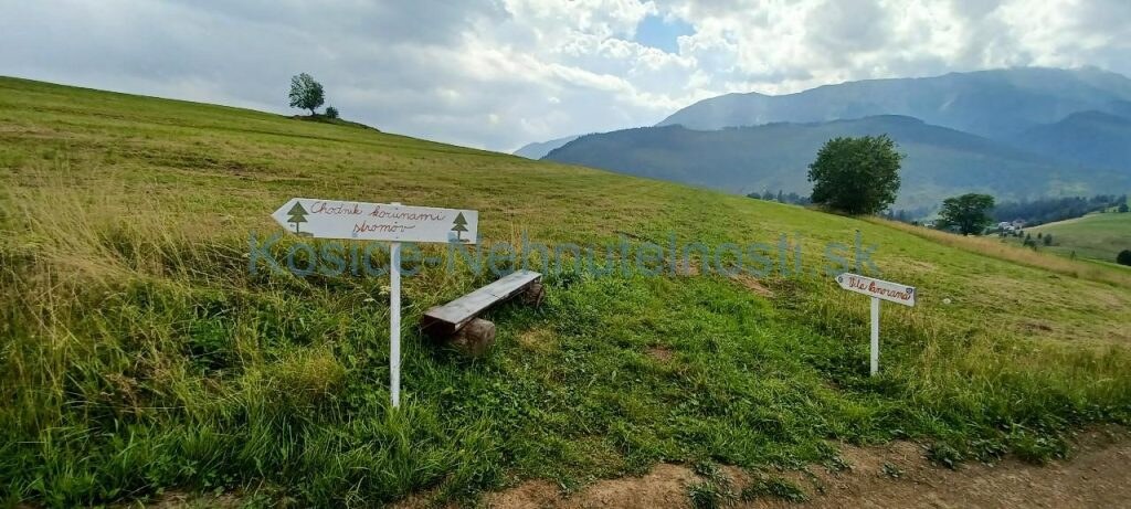 Pozemky 8445 m2 v Belianskych Tatrách Ždiar — foto 9