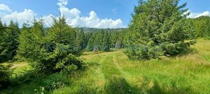 Pozemky 8445 m2 v Belianskych Tatrách Ždiar — foto 1