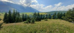 Pozemky 8445 m2 v Belianskych Tatrách Ždiar — foto 3