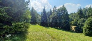 Pozemky 8445 m2 v Belianskych Tatrách Ždiar — foto 8
