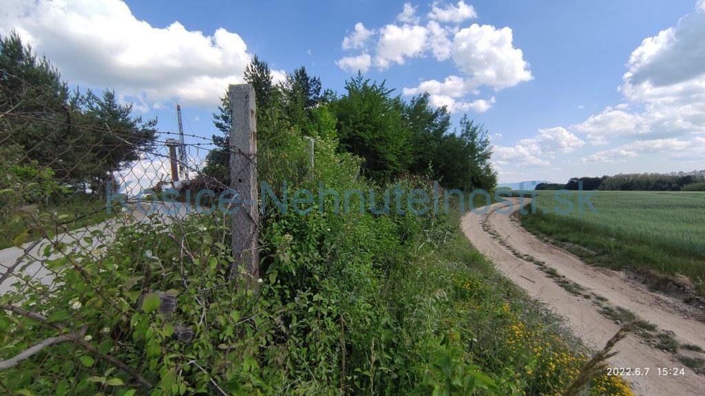 Predaj stavebný pozemok 6150 m2 Čižatice — foto 14