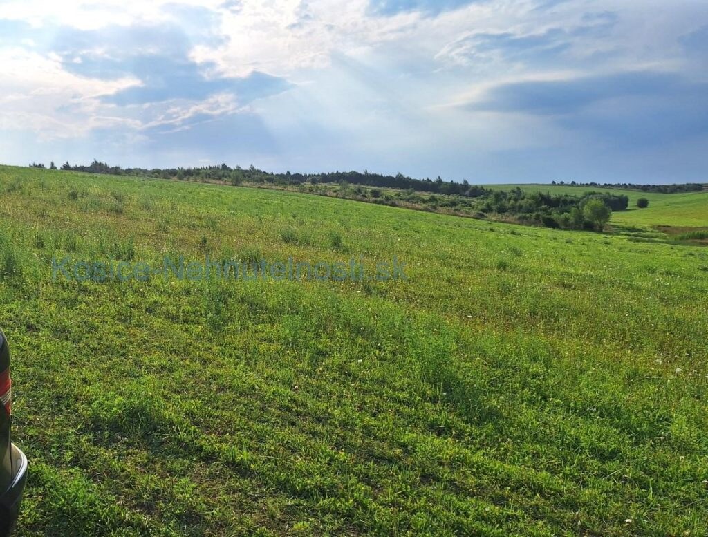 Predaj pozemok 3030 m2 Malý Šariš - okres Prešov — foto 4
