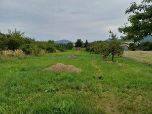 Predaj pozemok v obci Slivník okres Trebišov — foto 3