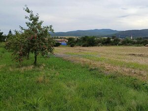 Predaj pozemok v obci Slivník okres Trebišov — foto 5
