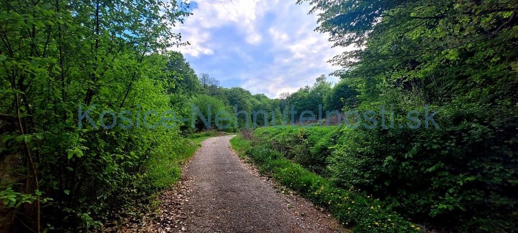 Predaj chata 40 m2 s pozemkom 2000 m2 Nižný Klátov pri meste Košice — foto 40