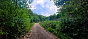 Predaj chata 40 m2 s pozemkom 2000 m2 Nižný Klátov pri meste Košice — foto 40
