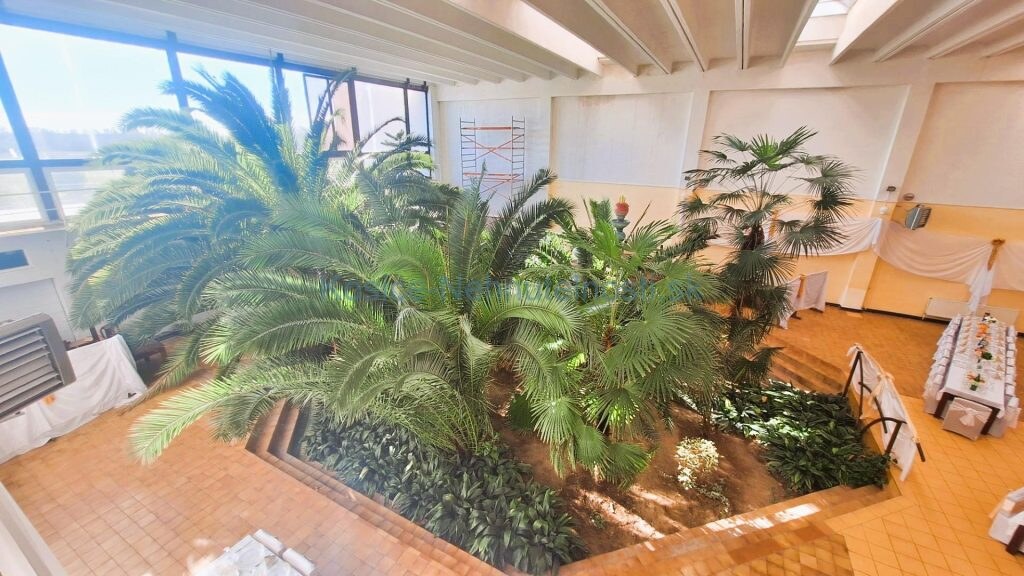 Podnikateľský objekt 3240 m2  Veľké Kapušany — foto 4