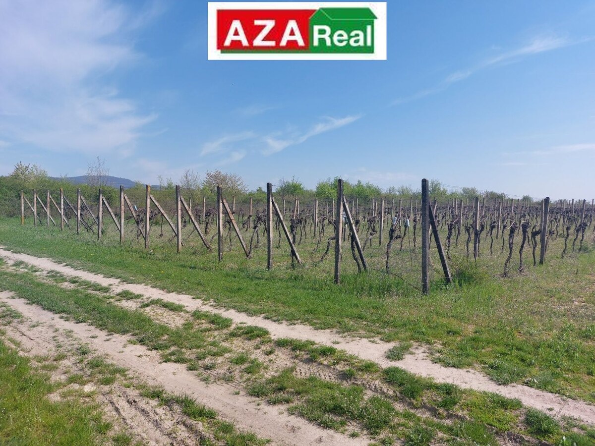 Predané VINICA V MODRE 5739m2 je na predaj-PREDANÉ — foto 2