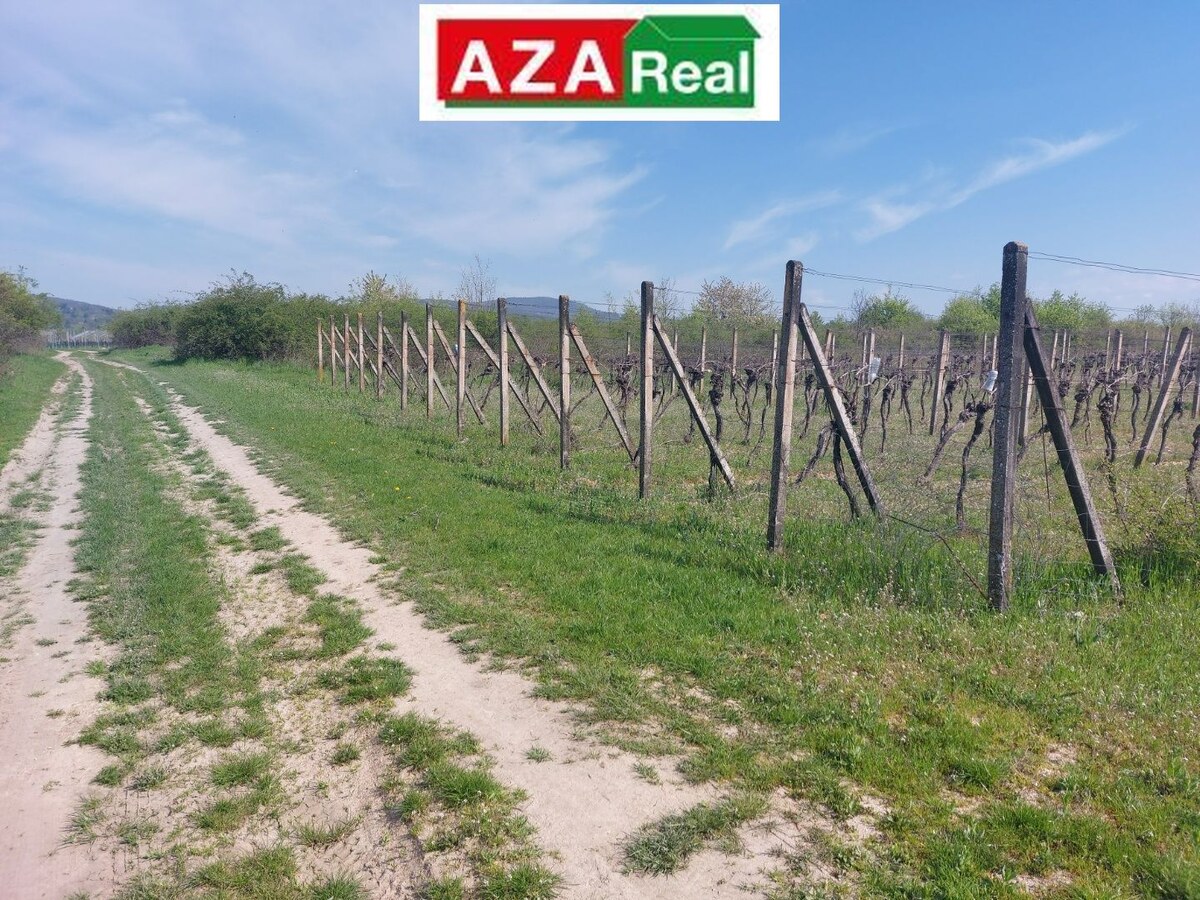 Predané VINICA V MODRE 5739m2 je na predaj-PREDANÉ — foto 7