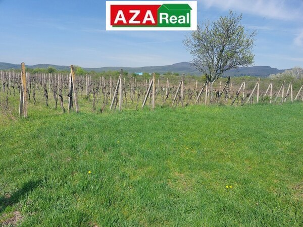 Predané VINICA V MODRE 5739m2 je na predaj-PREDANÉ