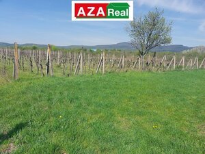 Predané VINICA V MODRE 5739m2 je na predaj-PREDANÉ — foto 1