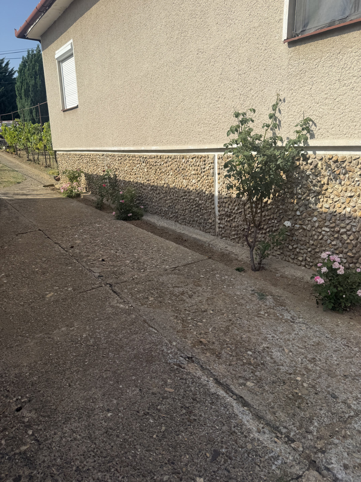 RODINNÝ DOM S 10-ÁROVOU ZÁHRADOU – ŠTITÁRE PRI NITRE — foto 3