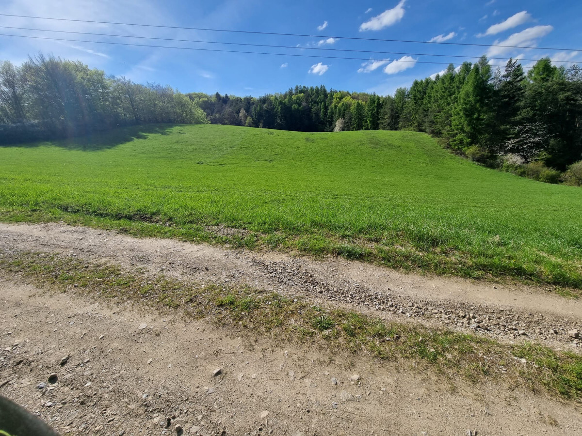 EXKLUZÍVNE - Malá Lehota, rozľahlý pozemok na samote - 16157m2 — foto 4