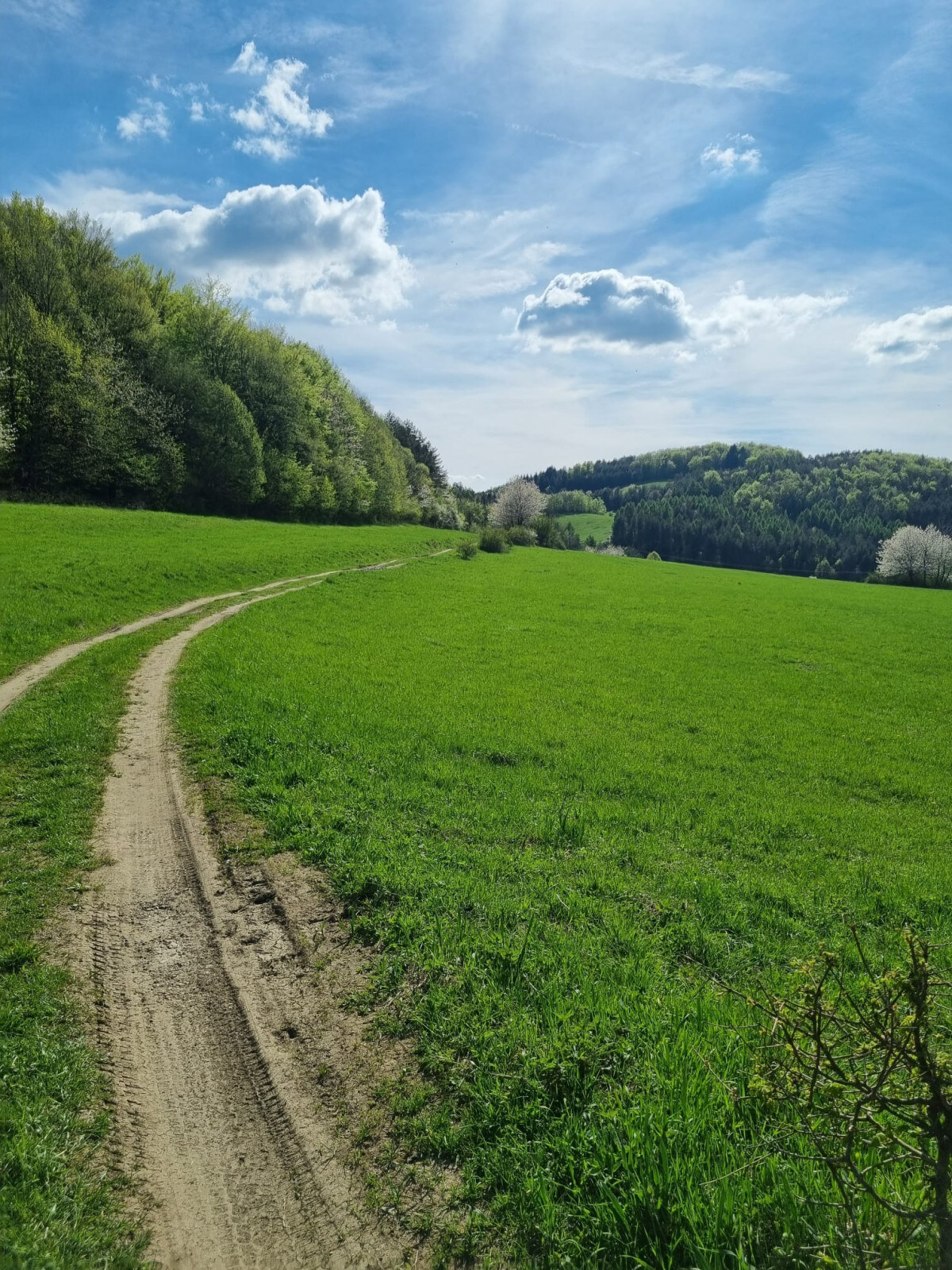 EXKLUZÍVNE - Malá Lehota, rozľahlý pozemok na samote - 16157m2 — foto 5