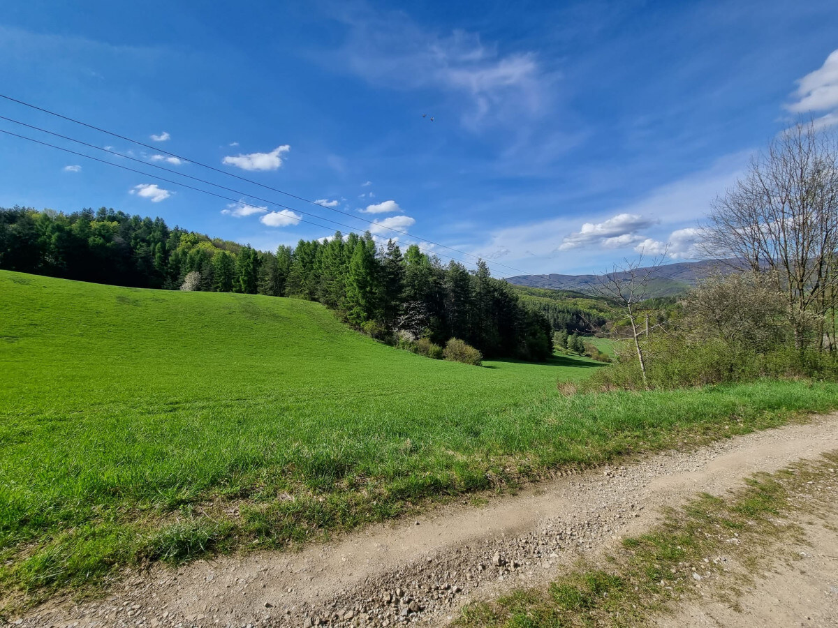 EXKLUZÍVNE - Malá Lehota, rozľahlý pozemok na samote - 16157m2 — foto 7